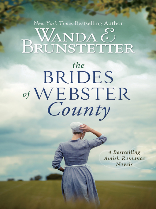 Cover image for The Brides of Webster County